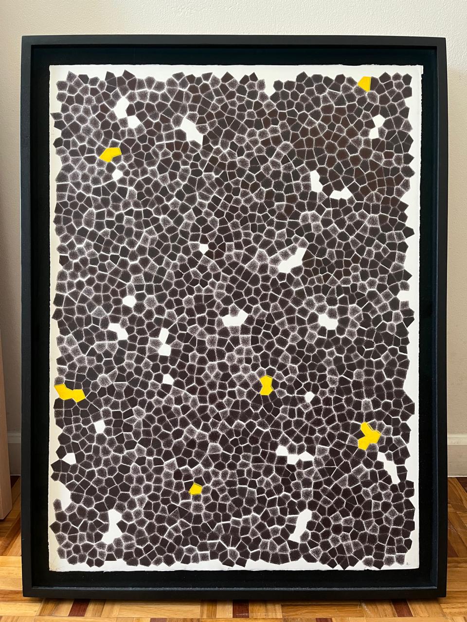 WhatsApp Image 2026-01-08 at 16.01